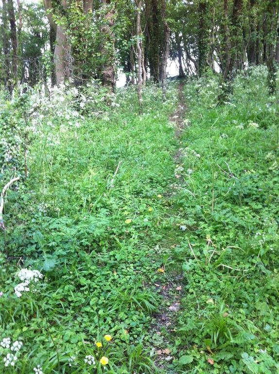 Pathways, Beachwood Cottage Bath Exteriör bild