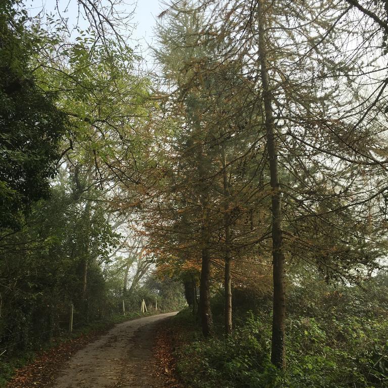 Pathways, Beachwood Cottage Bath Exteriör bild